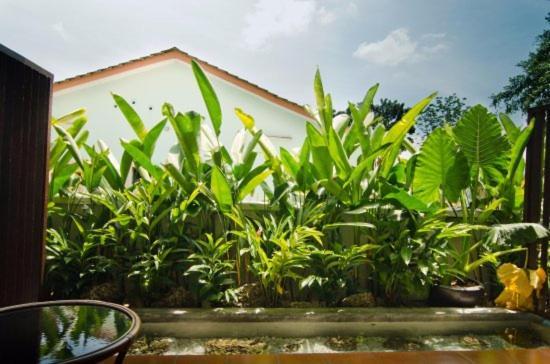 Mydream Guest House ايبوه المظهر الخارجي الصورة
